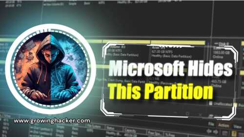 Hidden-Microsoft-Partition