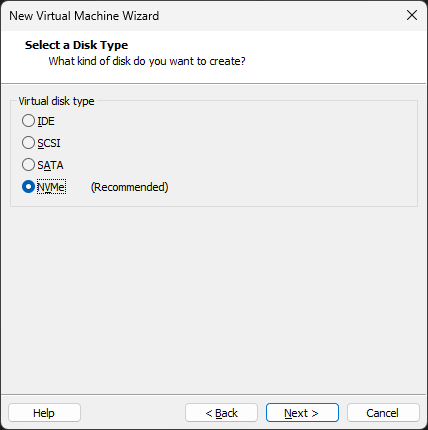 Disk-Type-dialog-box-Vmware