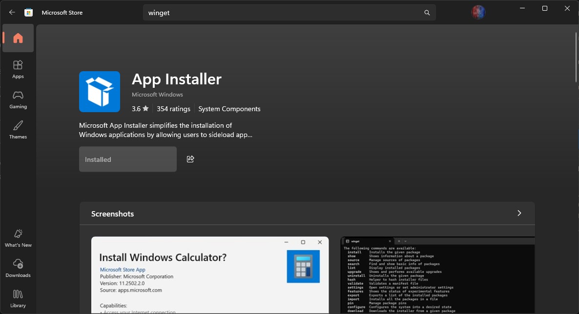 winget-download-throught-microsoft-store